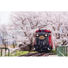 54131A