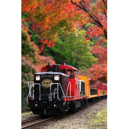 24256A