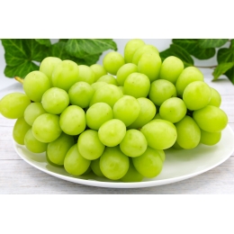 84460B