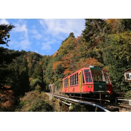 66580C