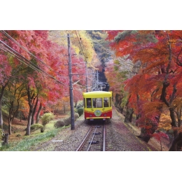 50579A