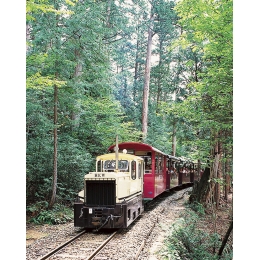 95459A
